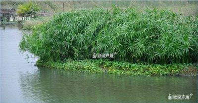 浮田型生态浮岛