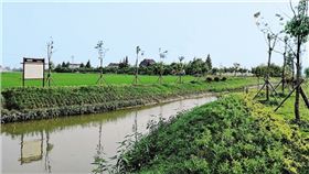 上海金山区朱泾镇&ldquo;一河一策&rdquo;治水 带水的镇&ldquo;活&rdquo;起来