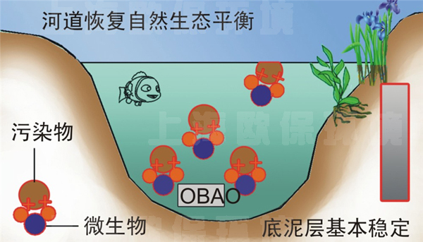 水体黑臭的快速消除法 水体黑臭的快速消除法