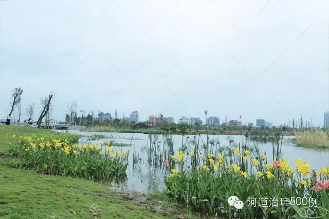 人工湿地 人工湿地