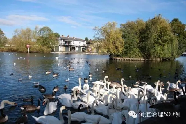 英国泰晤士河生态治理 英国泰晤士河生态治理