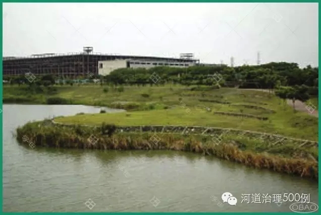 生态护坡和游步道 生态护坡和游步道