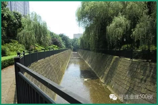 两岸硬化后,河水毫无生机可言 两岸硬化后,河水毫无生机可言