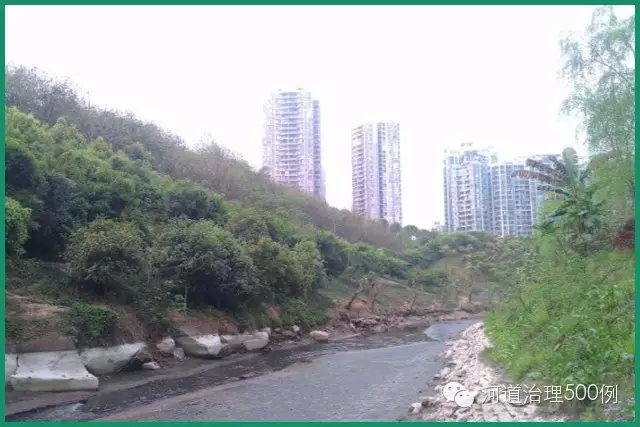 茂绿的两岸配上臭臭的河水 茂绿的两岸配上臭臭的河水