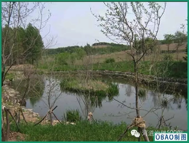 湿地生境 湿地生境