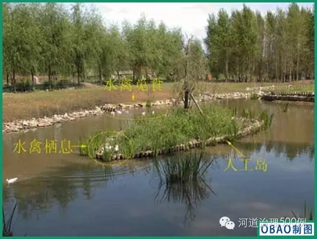 湿地生境 湿地生境