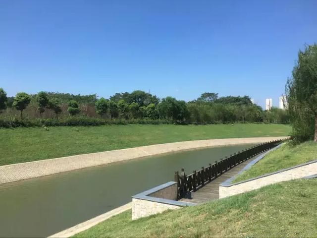 溧水人，你身边的这4条河道断流了！