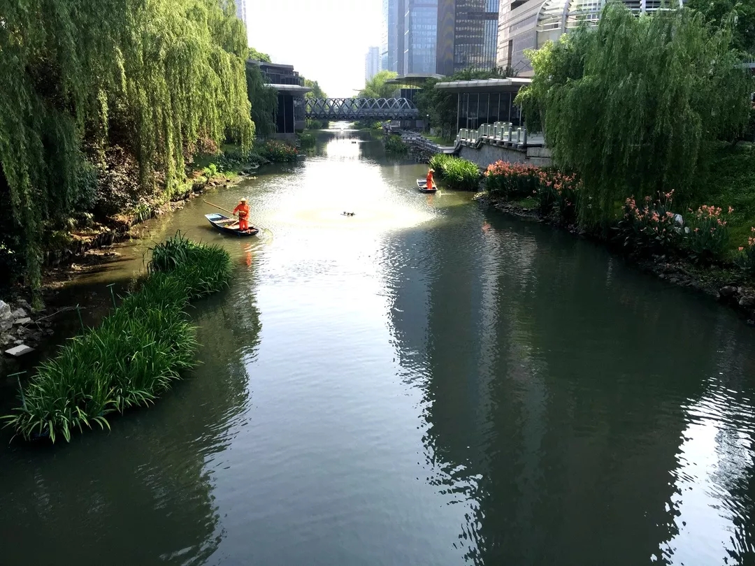 夏日“水上乐园”:解密欧保生态浮岛 夏日“水上乐园”:解密欧保生态浮岛