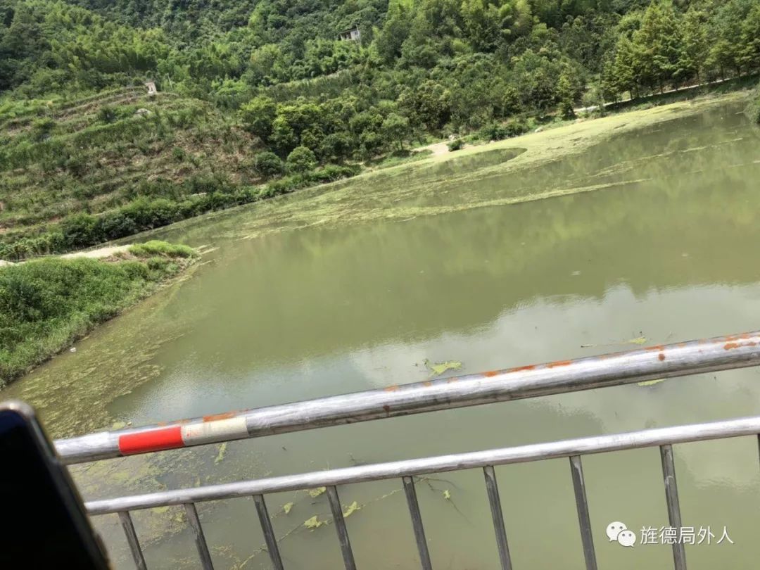 白沙水库蓝藻爆发 白沙水库蓝藻爆发