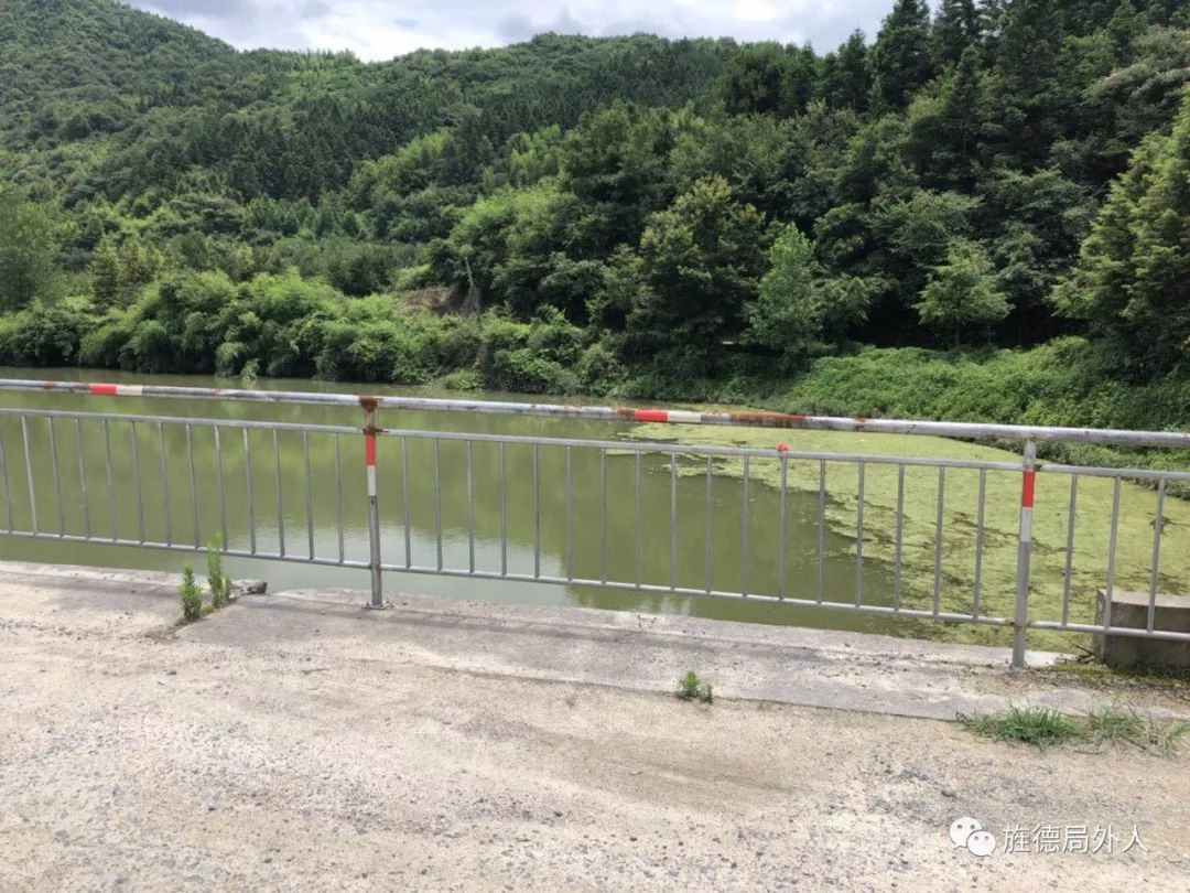 白沙水库蓝藻爆发污染水源地 白沙水库蓝藻爆发污染水源地