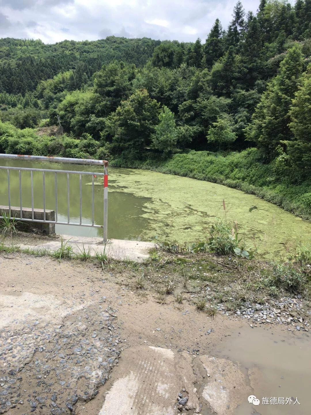 网友提供白沙水库蓝藻爆发 网友提供白沙水库蓝藻爆发