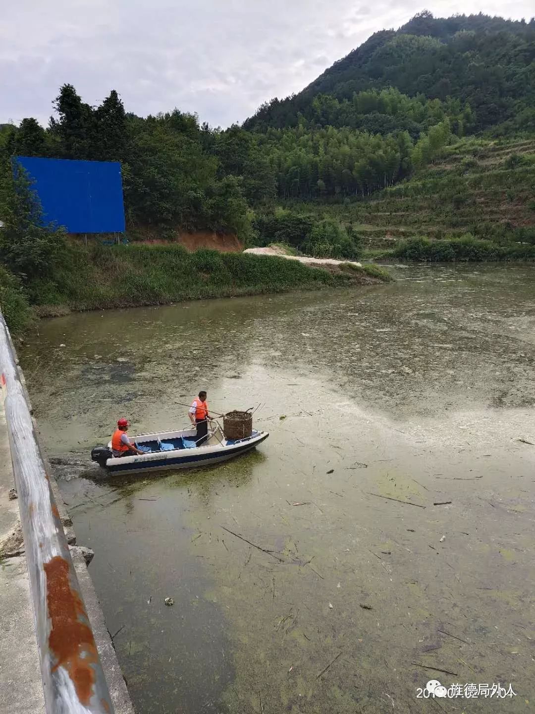 人工打捞蓝藻白沙水库 人工打捞蓝藻白沙水库