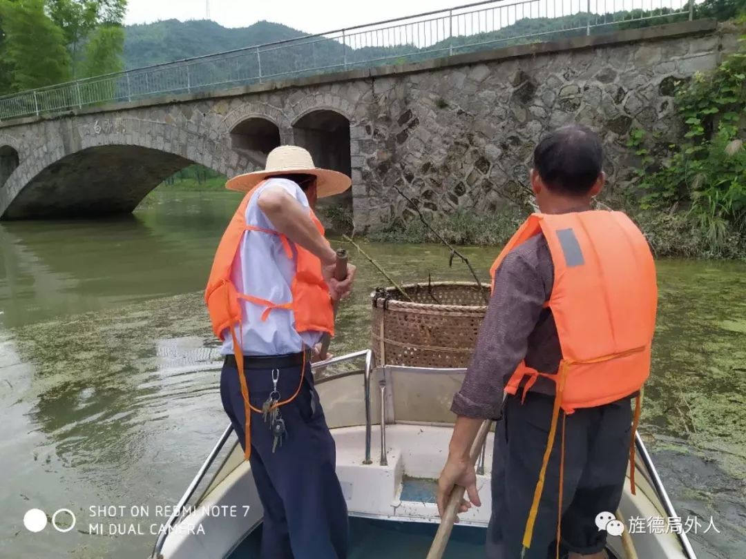 人工打捞蓝藻白沙水库 人工打捞蓝藻白沙水库