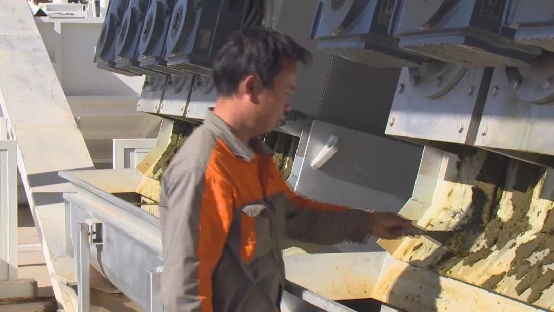 洱海蓝藻大爆发?打捞队员集体大出动除藻! 洱海蓝藻大爆发?打捞队员集体大出动除藻!