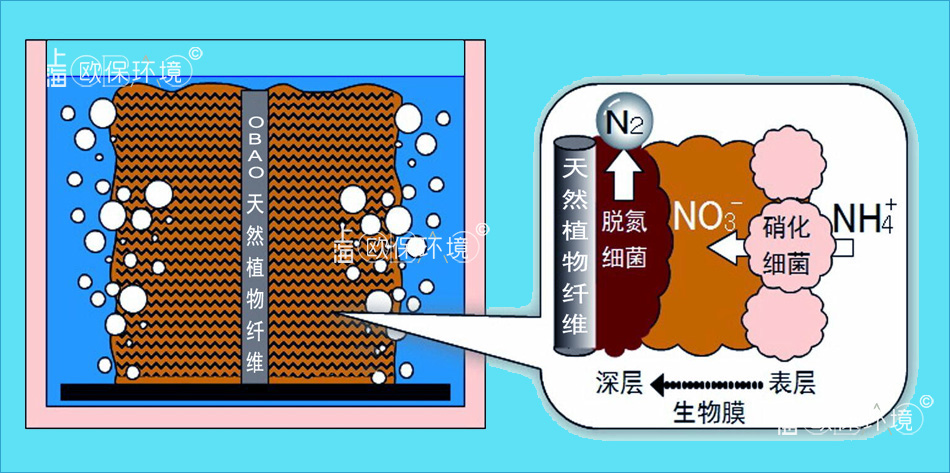 排口收集反应器原理-微生物作用 排口收集反应器原理-微生物作用