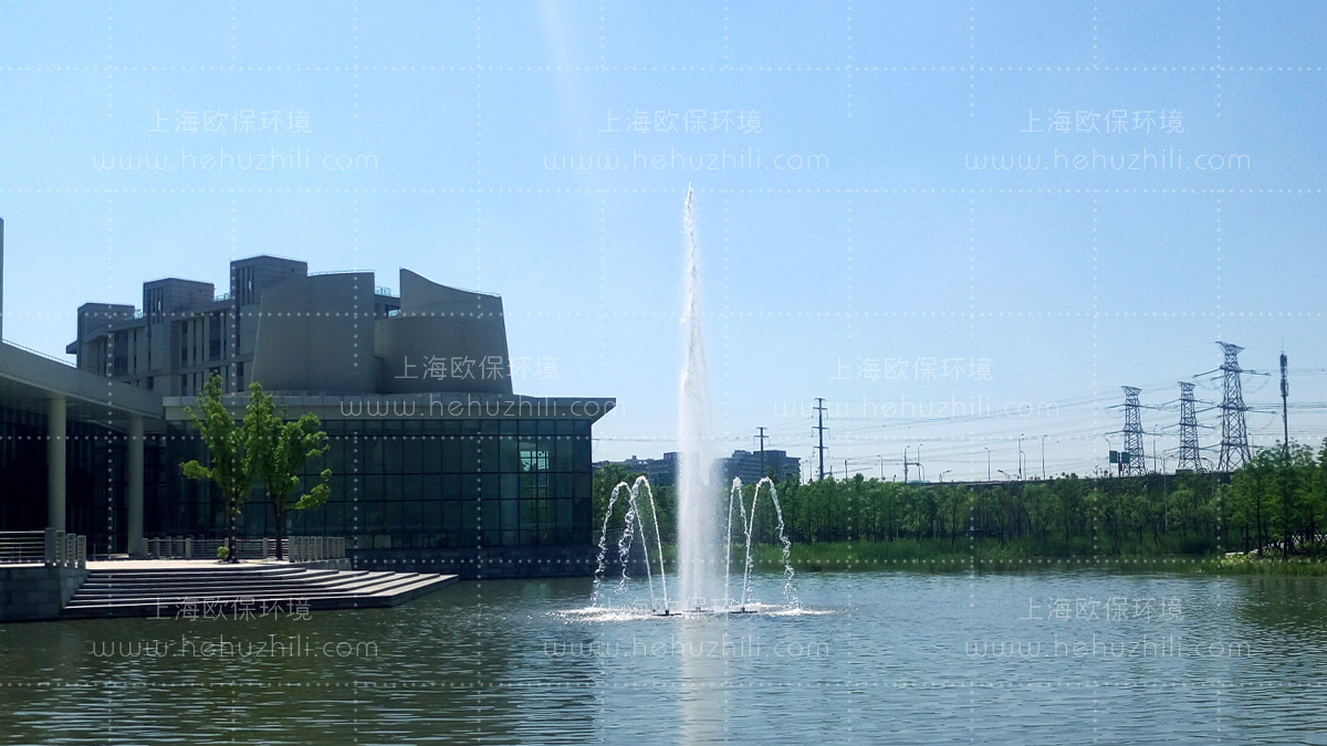 活化能曝气机(硅微囊活化触媒)