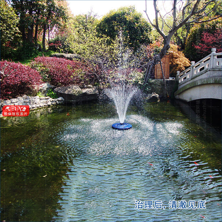 治理后,清澈见底 治理后,清澈见底