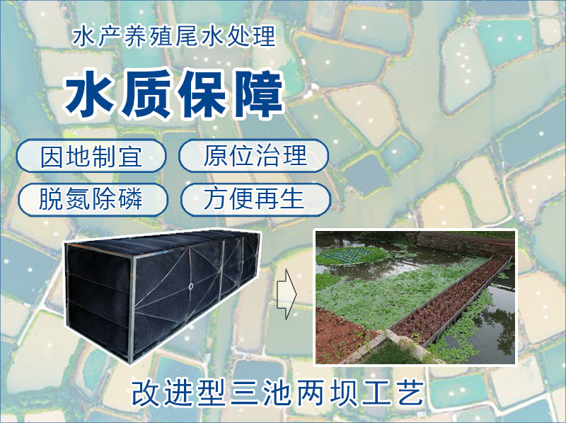 水产养殖尾水处理工艺选择原则“改进型三池两坝工艺”