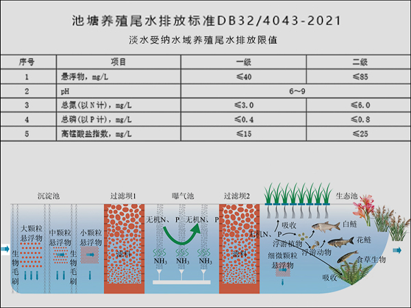 三池两坝,养殖尾水处理,改进型三池两坝 三池两坝,养殖尾水处理,改进型三池两坝
