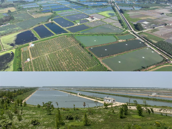 可再生滤坝,三池两坝,养殖尾水治理 可再生滤坝,三池两坝,养殖尾水治理